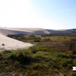 galicia10_Heme12_Corrubedo