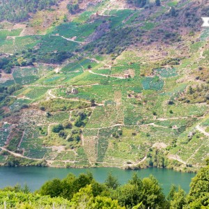 galicia10_Heme13_Ribeira4