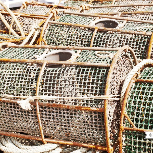 galicia10_Heme16_Bueu