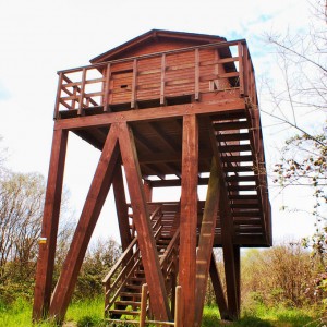 galicia10_Heme16_Miño3