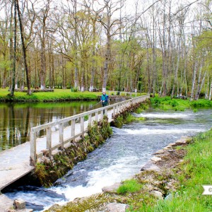 galicia10_Heme16_Miño4