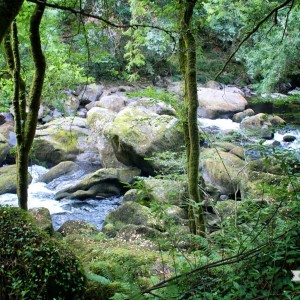 KONICA MINOLTA DIGITAL CAMERA