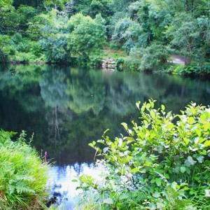 KONICA MINOLTA DIGITAL CAMERA