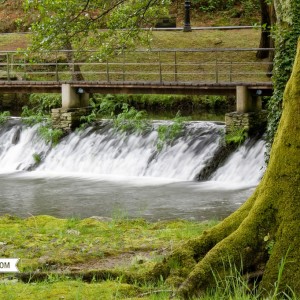 galicia10_Heme9_Vilalba2